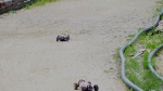 2012_06_09 15_06_51_Travaux_NMBC_88.jpg